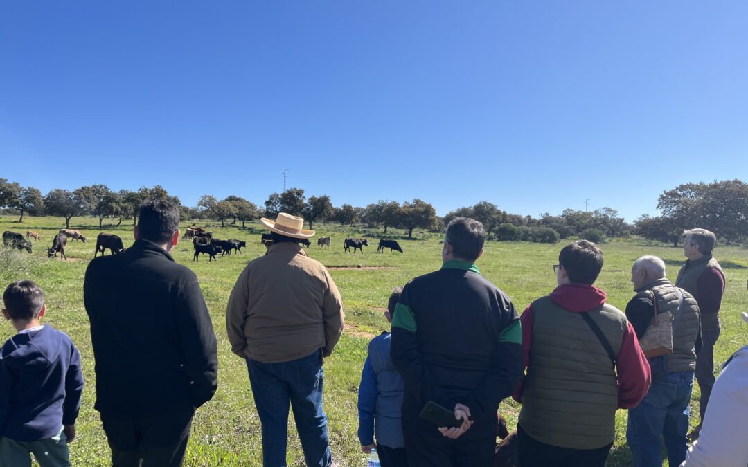 Eventos de empresa en una finca para salir de la oficina y hacer equipo